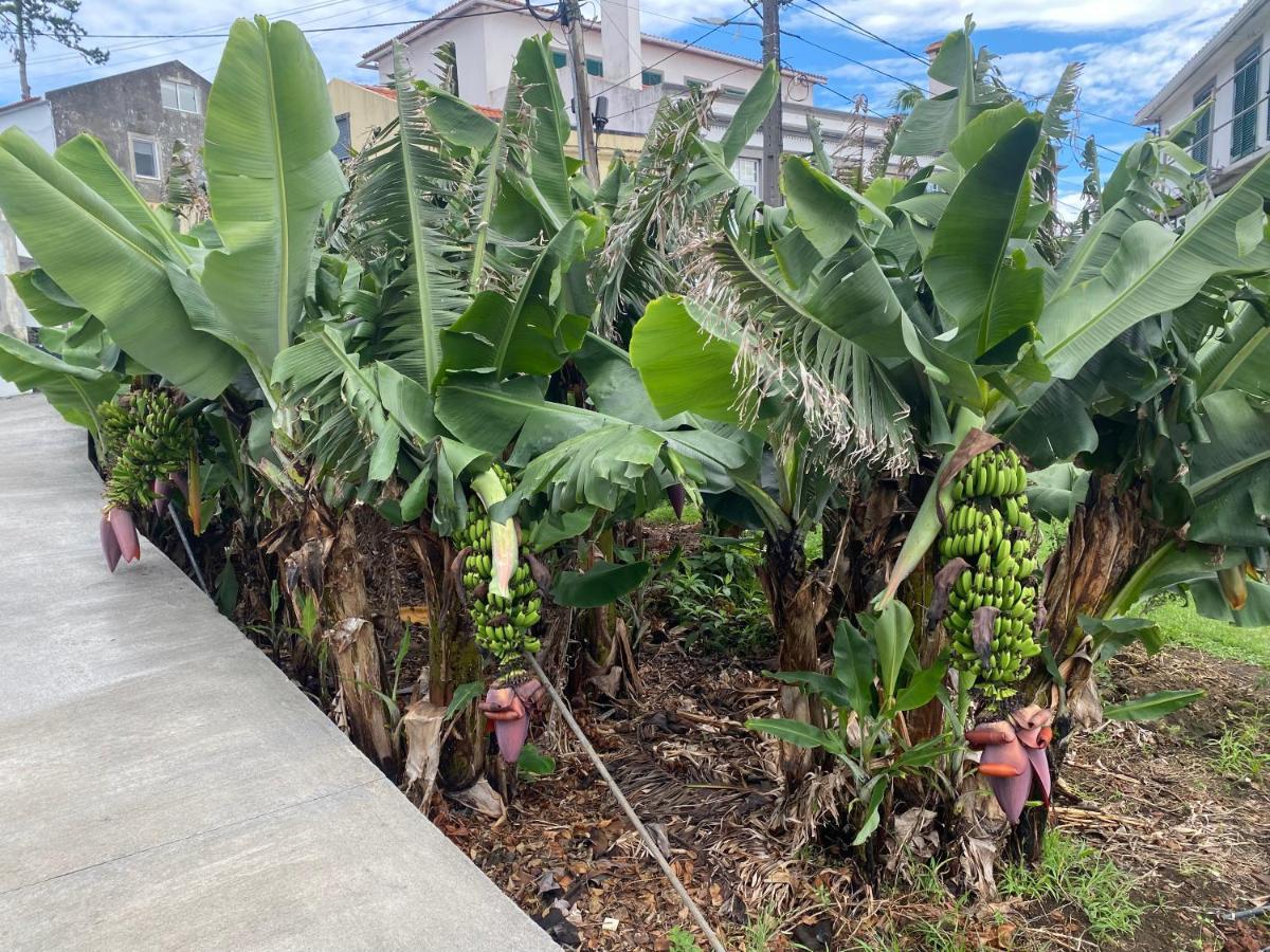 Retiro Das Bananeiras Horta  Ngoại thất bức ảnh